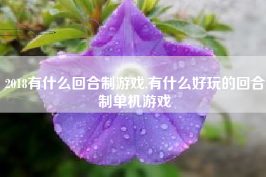2018有什么回合制游戏,有什么好玩的回合制单机游戏