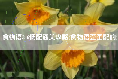食物语3-6低配通关攻略(食物语歪歪配的)