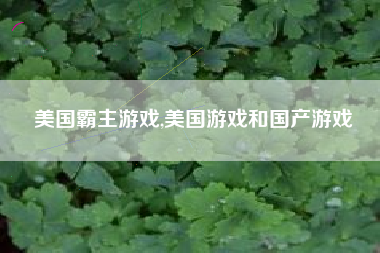 美国霸主游戏,美国游戏和国产游戏