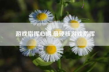 游戏指挥心得,最硬核游戏指挥