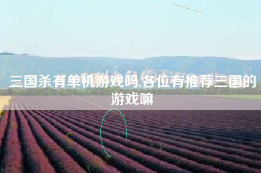 三国杀有单机游戏吗,各位有推荐三国的游戏嘛