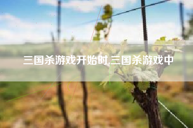 三国杀游戏开始时,三国杀游戏中