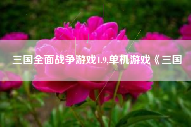三国全面战争游戏1.9,单机游戏《三国