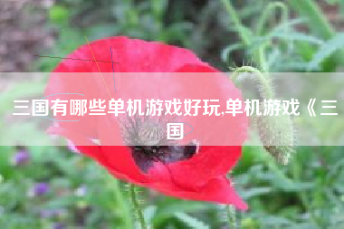三国有哪些单机游戏好玩,单机游戏《三国