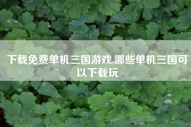 下载免费单机三国游戏,哪些单机三国可以下载玩