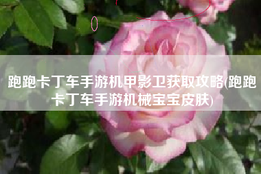 跑跑卡丁车手游机甲影卫获取攻略(跑跑卡丁车手游机械宝宝皮肤)