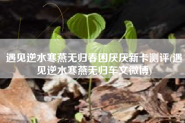 遇见逆水寒燕无归春困厌厌新卡测评(遇见逆水寒燕无归车文微博)