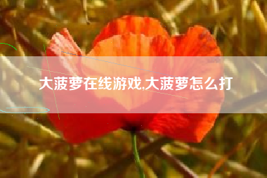 大菠萝在线游戏,大菠萝怎么打