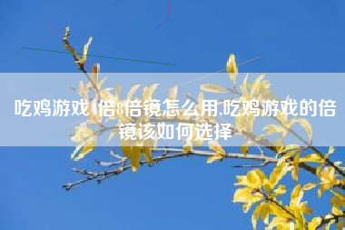 吃鸡游戏4倍8倍镜怎么用,吃鸡游戏的倍镜该如何选择