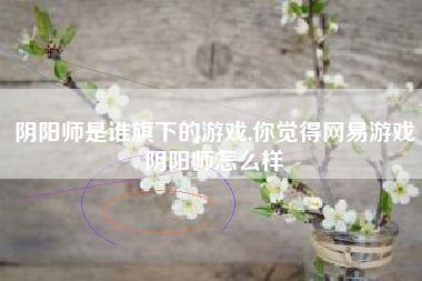 阴阳师是谁旗下的游戏,你觉得网易游戏阴阳师怎么样