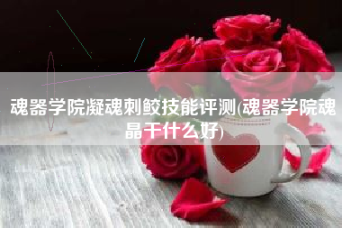 魂器学院凝魂刺鲛技能评测(魂器学院魂晶干什么好)