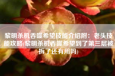 黎明杀机吞噬希望技能介绍附：老头技能攻略(黎明杀机吞噬希望到了第三层被拆了还有用吗)