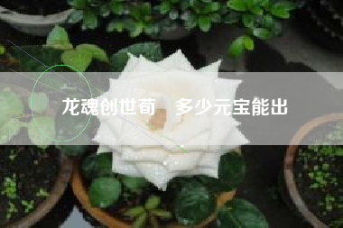 龙魂创世荀彧多少元宝能出