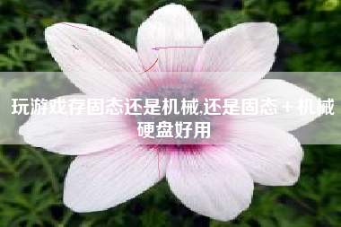玩游戏存固态还是机械,还是固态＋机械硬盘好用