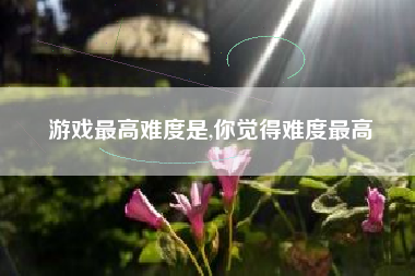 游戏最高难度是,你觉得难度最高
