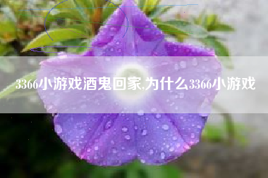 3366小游戏酒鬼回家,为什么3366小游戏