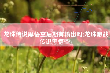 龙珠传说黑悟空后期有输出吗(龙珠激战传说黑悟空)