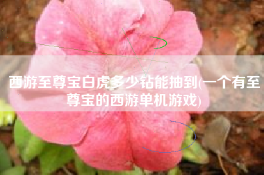 西游至尊宝白虎多少钻能抽到(一个有至尊宝的西游单机游戏)