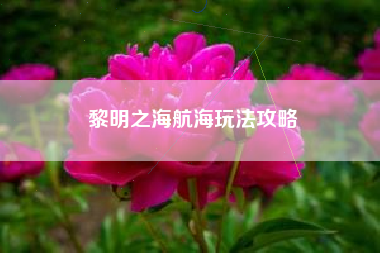 黎明之海航海玩法攻略
