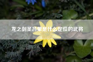 龙之剑圣吕蒙是什么定位的武将