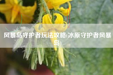 风暴岛守护者玩法攻略(冰原守护者风暴岛)