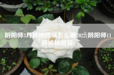 阴阳师3月神秘图案怎么画2022(阴阳师11月神秘图案)