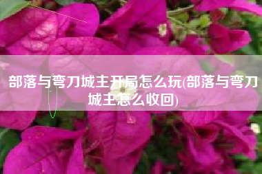部落与弯刀城主开局怎么玩(部落与弯刀城主怎么收回)