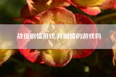战役剧情游戏,有剧情的游戏吗