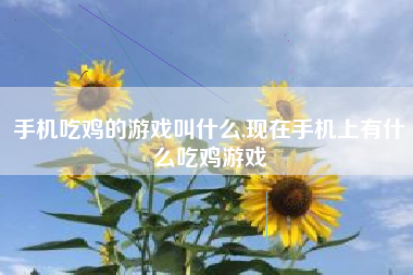 手机吃鸡的游戏叫什么,现在手机上有什么吃鸡游戏