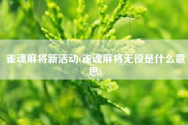 雀魂麻将新活动(雀魂麻将无役是什么意思)