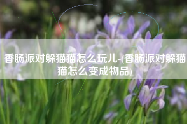 香肠派对躲猫猫怎么玩儿-(香肠派对躲猫猫怎么变成物品)
