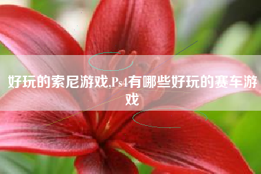 好玩的索尼游戏,Ps4有哪些好玩的赛车游戏