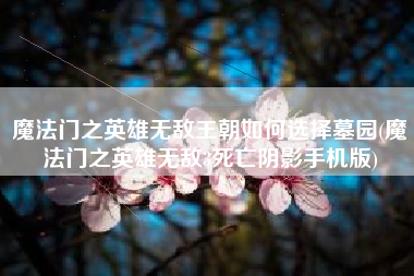 魔法门之英雄无敌王朝如何选择墓园(魔法门之英雄无敌3死亡阴影手机版)