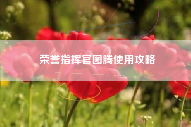 荣誉指挥官图腾使用攻略