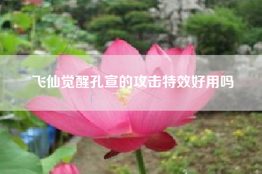 飞仙觉醒孔宣的攻击特效好用吗