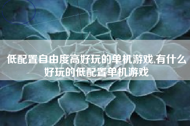 低配置自由度高好玩的单机游戏,有什么好玩的低配置单机游戏