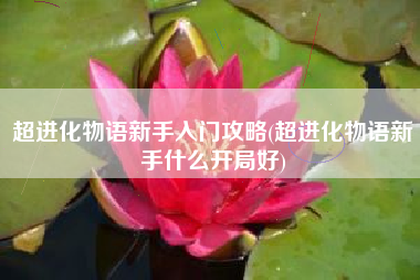 超进化物语新手入门攻略(超进化物语新手什么开局好)