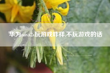 华为nova2s玩游戏咋样,不玩游戏的话