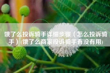 饿了么投诉骑手详细步骤（怎么投诉骑手）(饿了么商家投诉骑手有没有用)