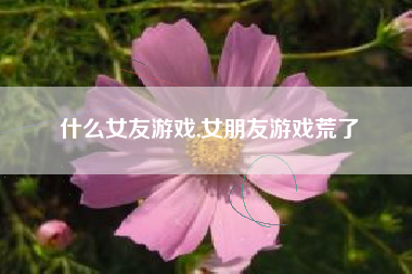 什么女友游戏,女朋友游戏荒了