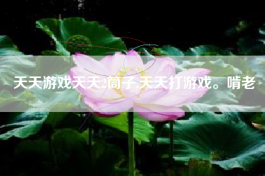 天天游戏天天2筒子,天天打游戏。啃老