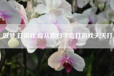 做梦 打游戏,自从媳妇学会打游戏天天打