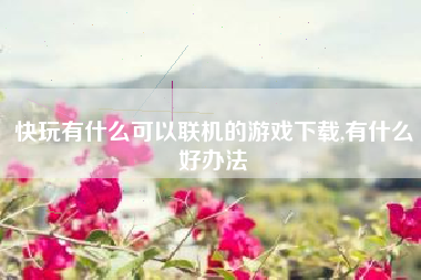 快玩有什么可以联机的游戏下载,有什么好办法