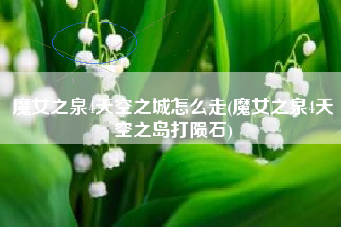 魔女之泉4天空之城怎么走(魔女之泉4天空之岛打陨石)