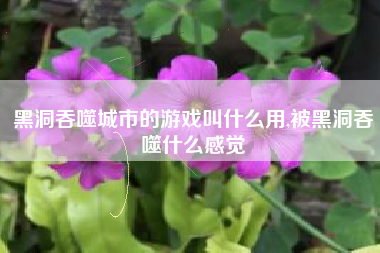 黑洞吞噬城市的游戏叫什么用,被黑洞吞噬什么感觉