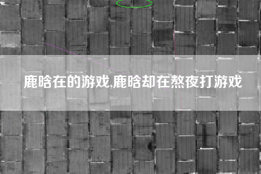 鹿晗在的游戏,鹿晗却在熬夜打游戏