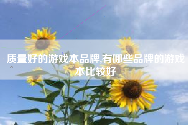 质量好的游戏本品牌,有哪些品牌的游戏本比较好