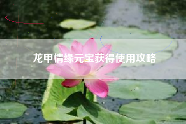 龙甲情缘元宝获得使用攻略