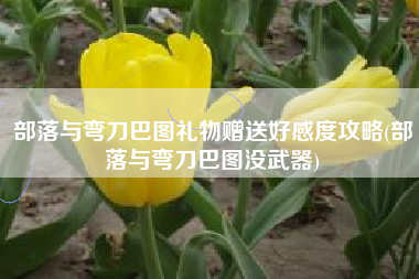 部落与弯刀巴图礼物赠送好感度攻略(部落与弯刀巴图没武器)