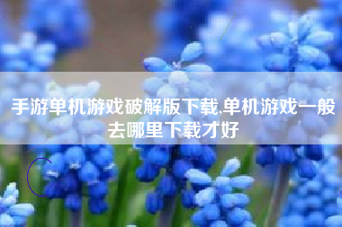 手游单机游戏破解版下载,单机游戏一般去哪里下载才好